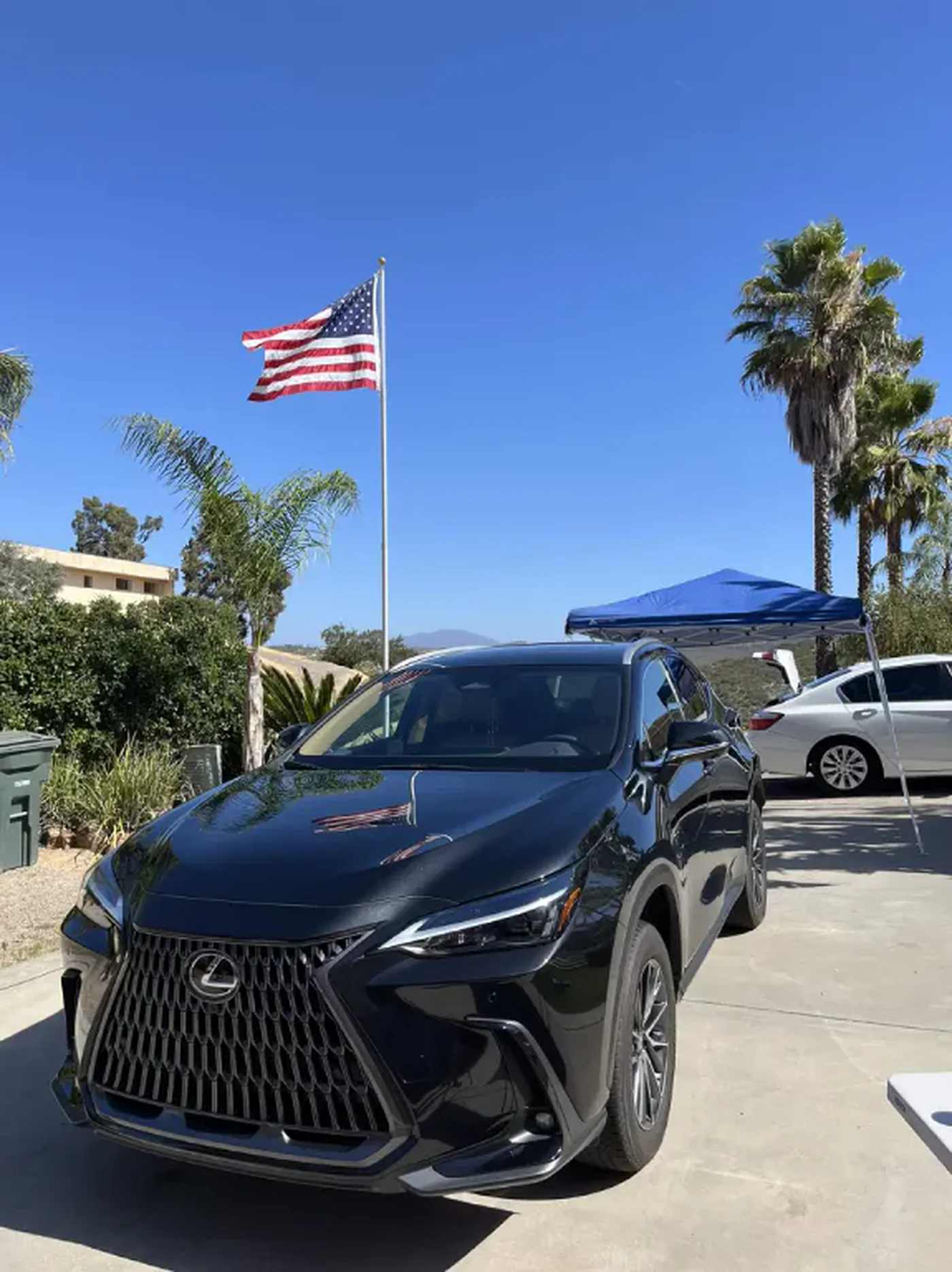Black Lexus after mobile detailing in Ramona